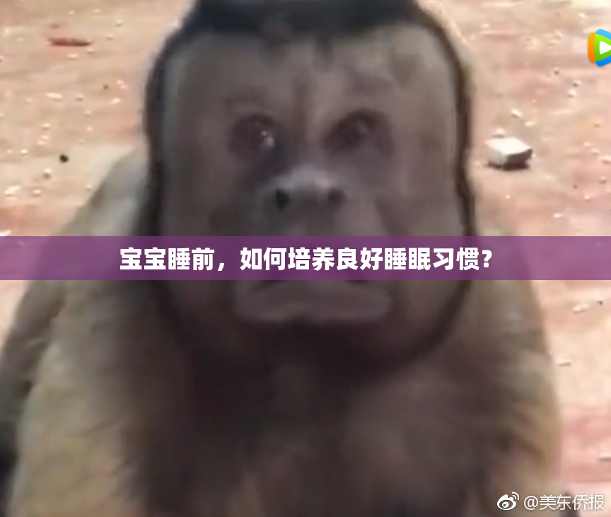 宝宝睡前，如何培养良好睡眠习惯？