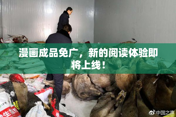 漫画成品免广，新的阅读体验即将上线！