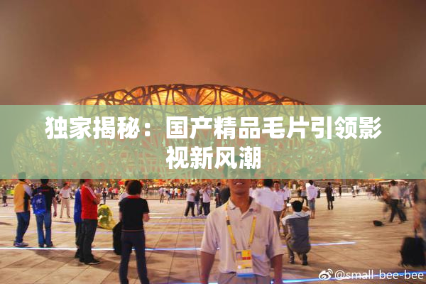 独家揭秘：国产精品毛片引领影视新风潮