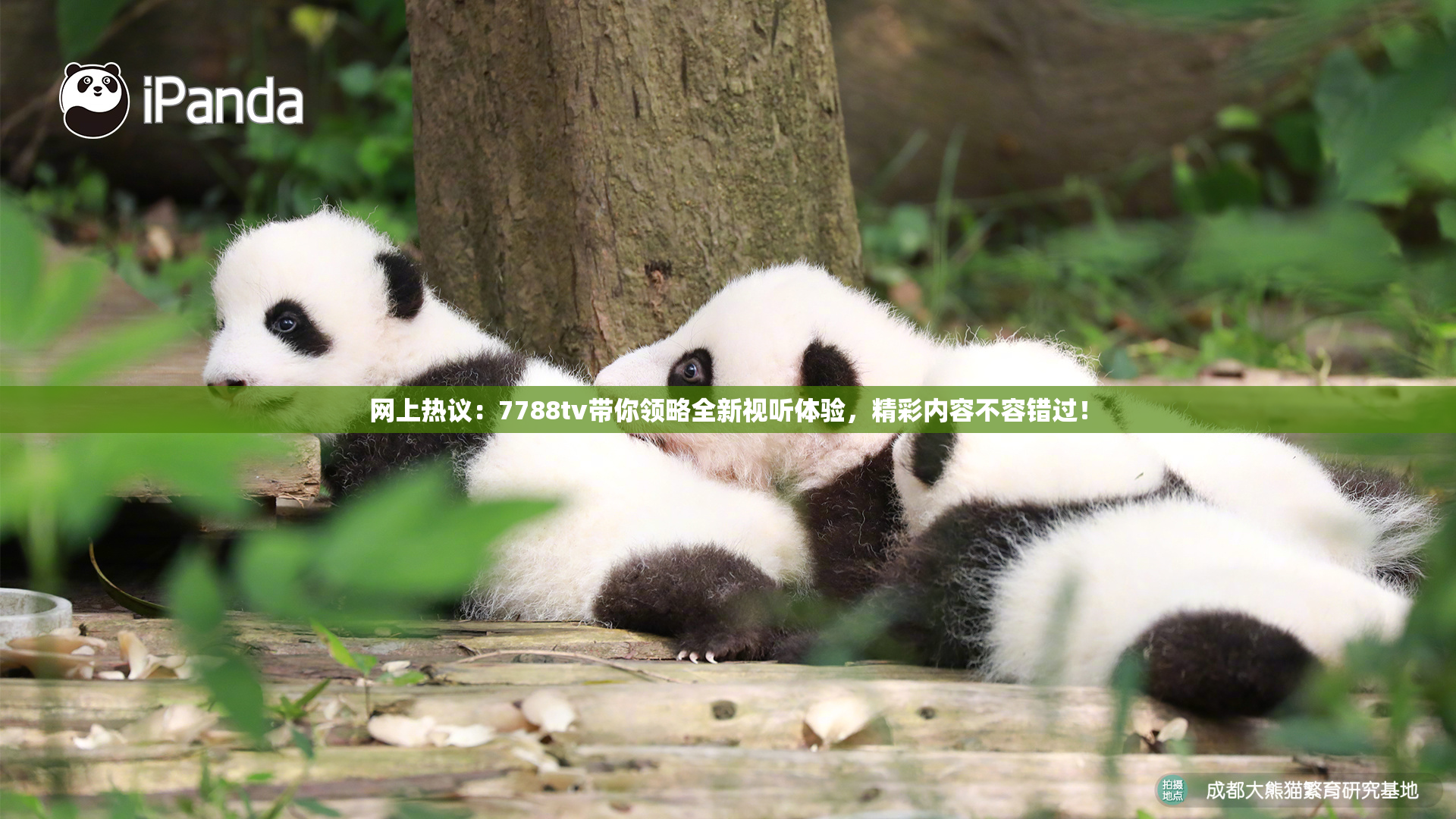 网上热议：7788tv带你领略全新视听体验，精彩内容不容错过！
