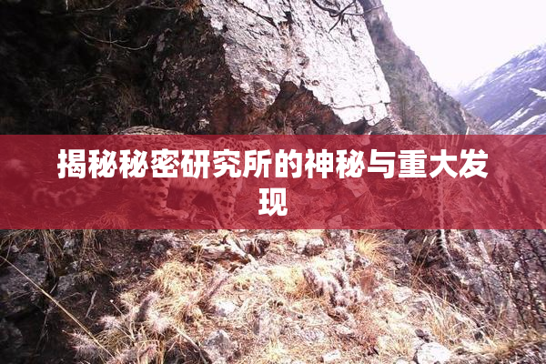 揭秘秘密研究所的神秘与重大发现