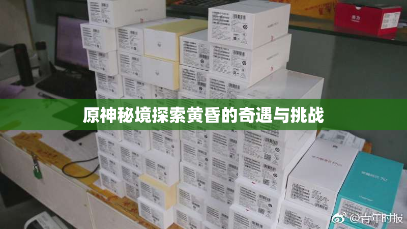 原神秘境探索黄昏的奇遇与挑战
