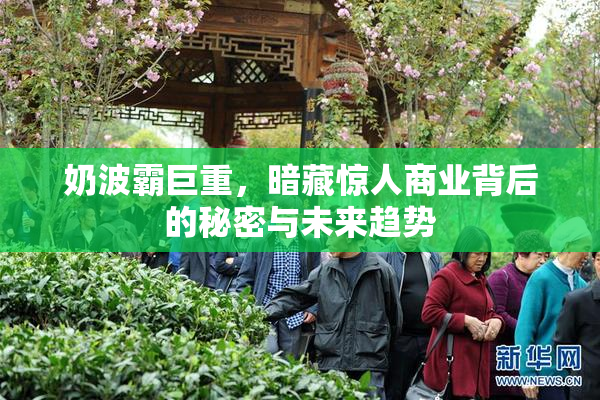 奶波霸巨重，暗藏惊人商业背后的秘密与未来趋势