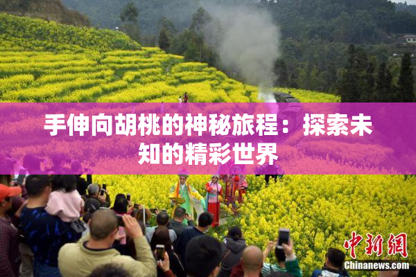 手伸向胡桃的神秘旅程：探索未知的精彩世界
