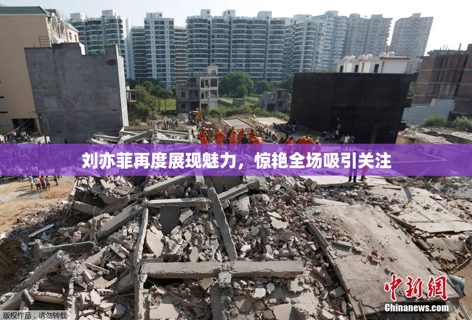 刘亦菲再度展现魅力，惊艳全场吸引关注