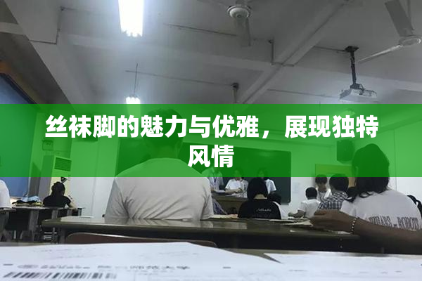 丝袜脚的魅力与优雅，展现独特风情