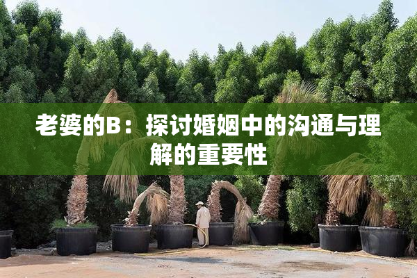 老婆的B：探讨婚姻中的沟通与理解的重要性