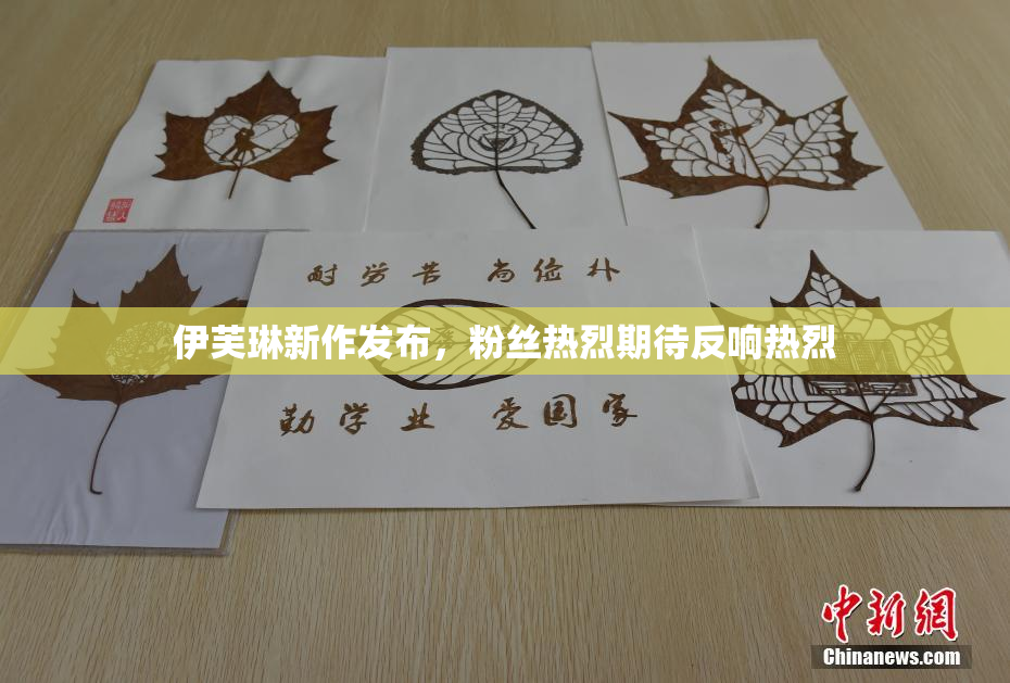 伊芙琳新作发布，粉丝热烈期待反响热烈