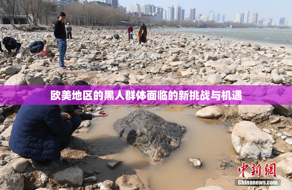 欧美地区的黑人群体面临的新挑战与机遇