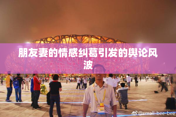 朋友妻的情感纠葛引发的舆论风波