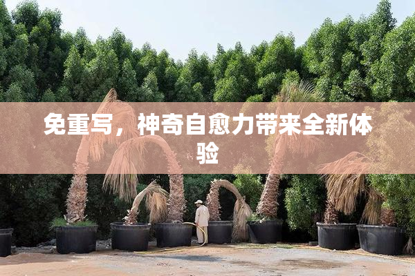 免重写，神奇自愈力带来全新体验