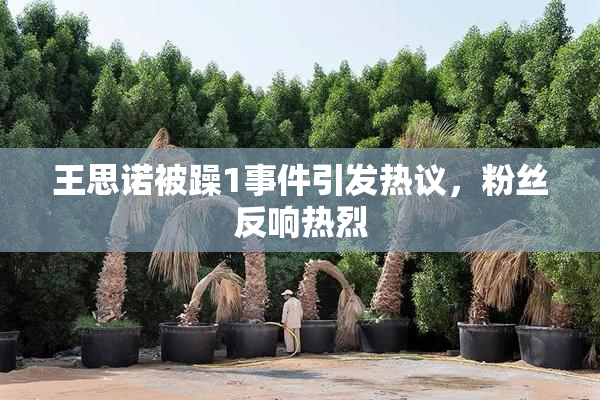 王思诺被躁1事件引发热议，粉丝反响热烈
