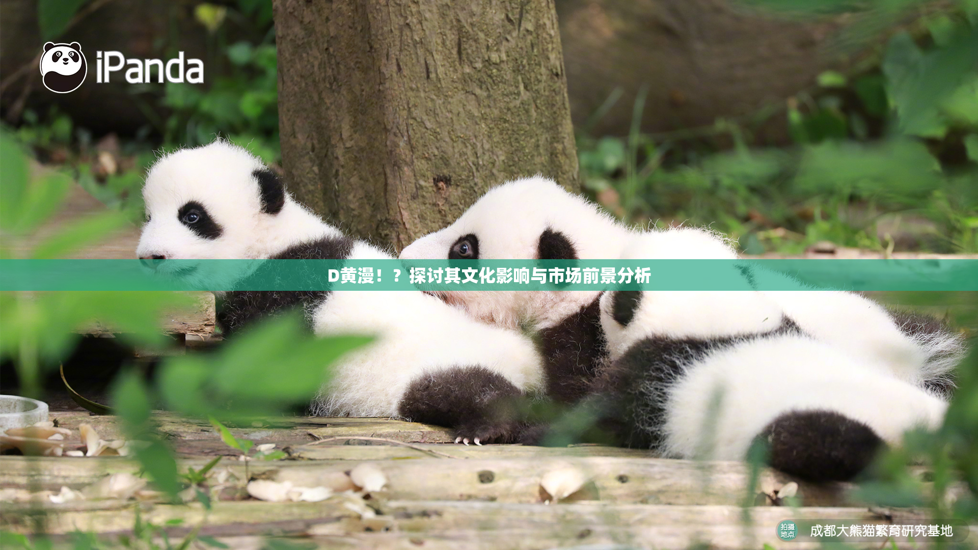D黄漫！？探讨其文化影响与市场前景分析