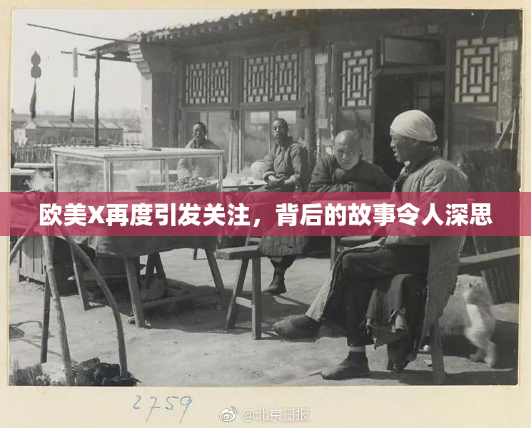 欧美X再度引发关注，背后的故事令人深思