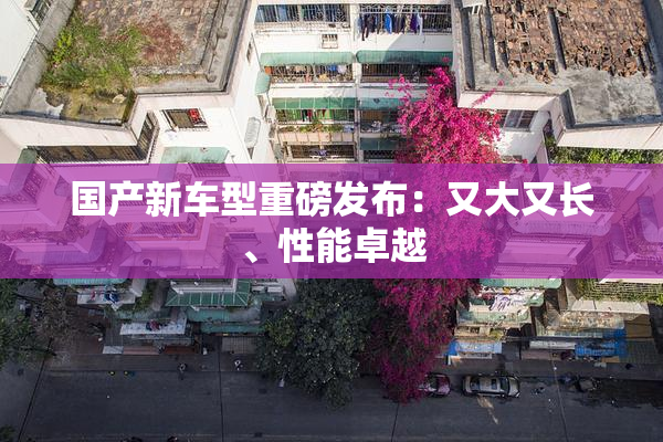 国产新车型重磅发布：又大又长、性能卓越