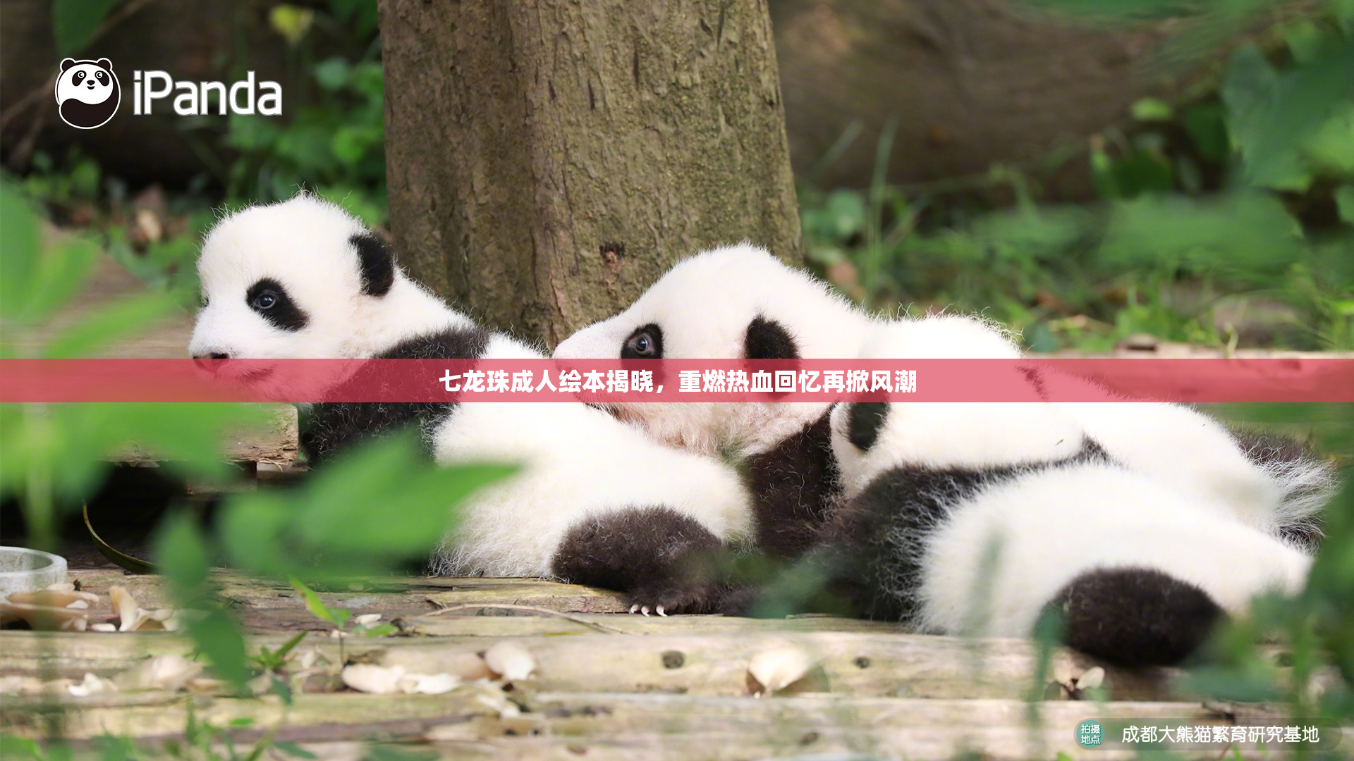 七龙珠成人绘本揭晓，重燃热血回忆再掀风潮