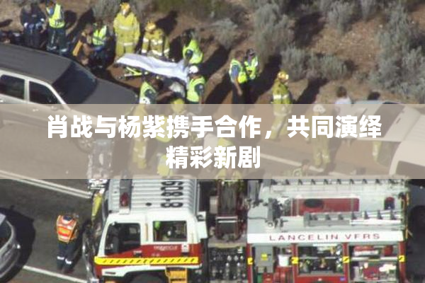 肖战与杨紫携手合作，共同演绎精彩新剧