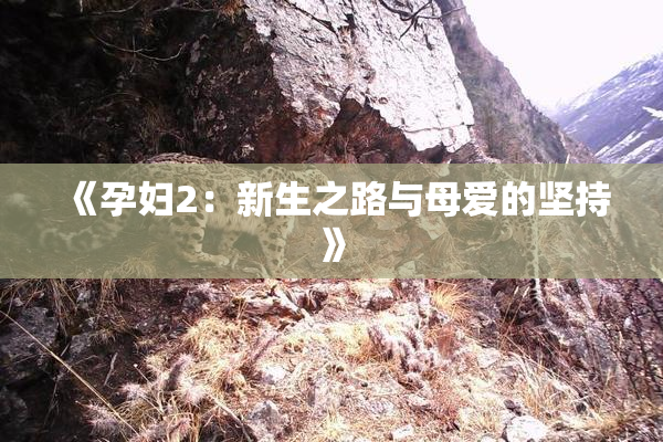 《孕妇2：新生之路与母爱的坚持》