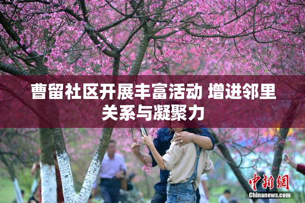 曹留社区开展丰富活动 增进邻里关系与凝聚力