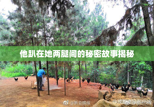 他趴在她两腿间的秘密故事揭秘