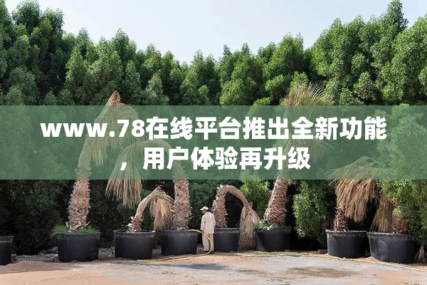 www.78在线平台推出全新功能，用户体验再升级