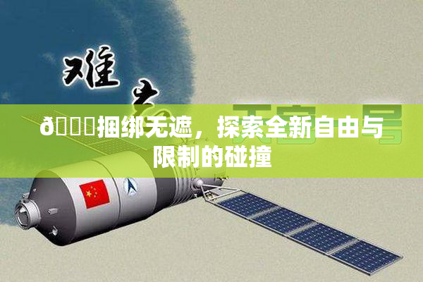 🔞捆绑无遮，探索全新自由与限制的碰撞