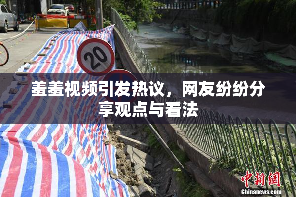 羞羞视频引发热议，网友纷纷分享观点与看法