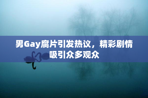 男Gay腐片引发热议，精彩剧情吸引众多观众