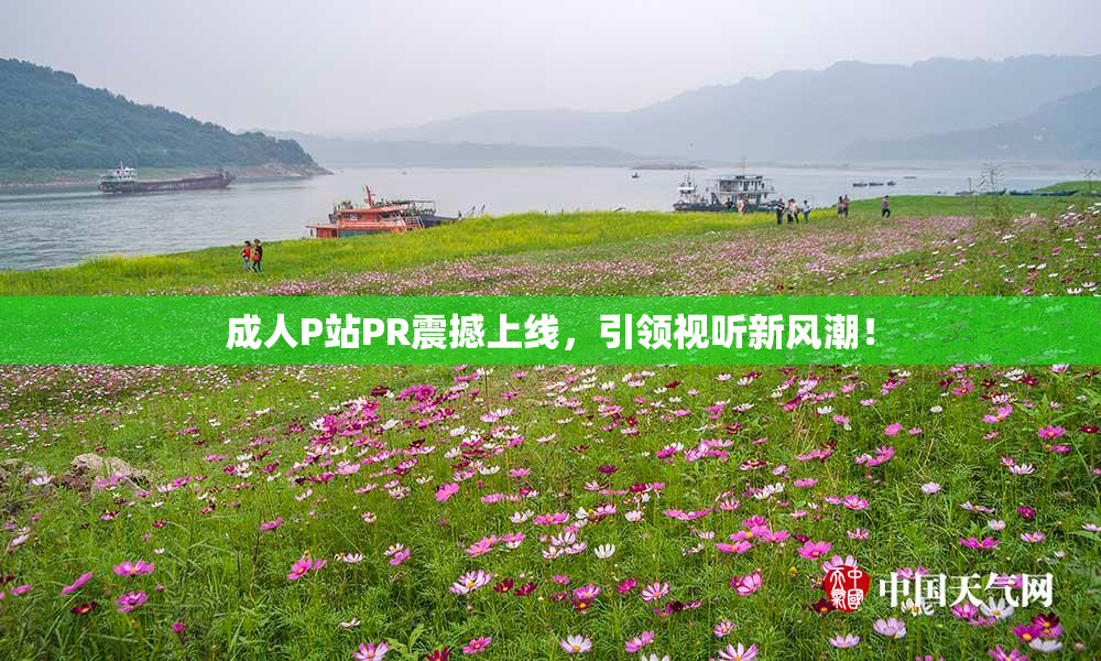 成人P站PR震撼上线，引领视听新风潮！
