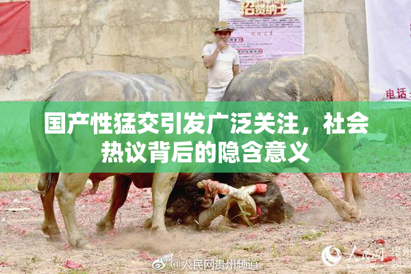 国产性猛交引发广泛关注，社会热议背后的隐含意义