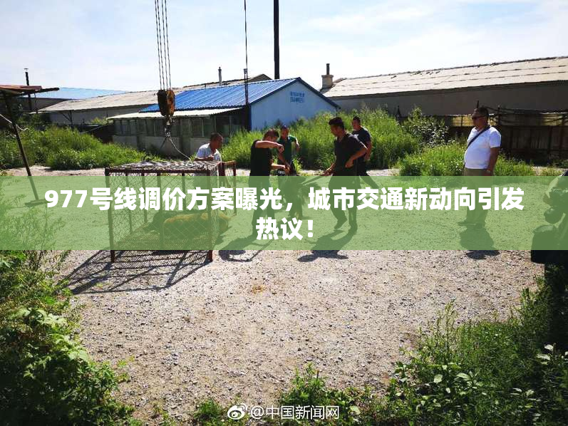 977号线调价方案曝光，城市交通新动向引发热议！