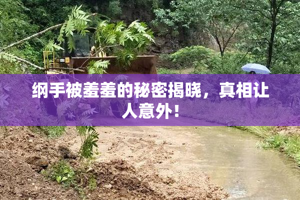 纲手被羞羞的秘密揭晓，真相让人意外！