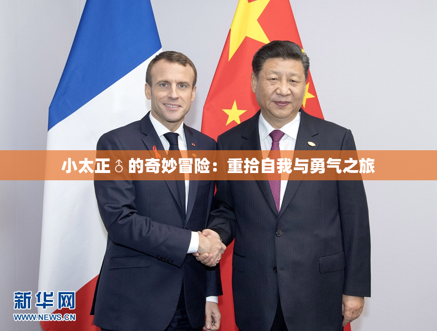小太正♂的奇妙冒险：重拾自我与勇气之旅