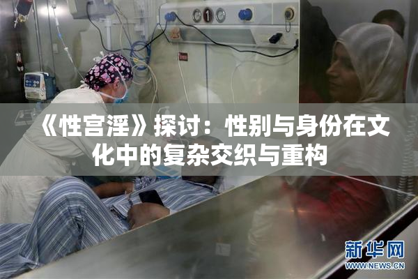 《性宫淫》探讨：性别与身份在文化中的复杂交织与重构