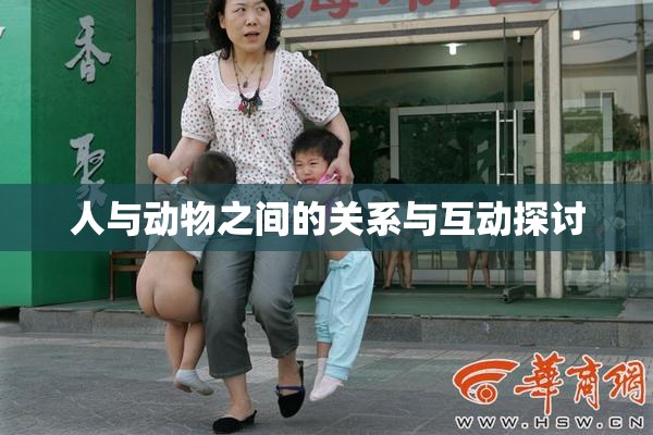 人与动物之间的关系与互动探讨