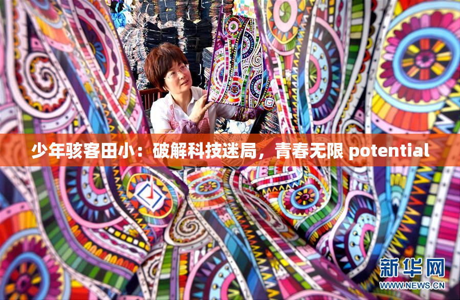 少年骇客田小：破解科技迷局，青春无限 potential