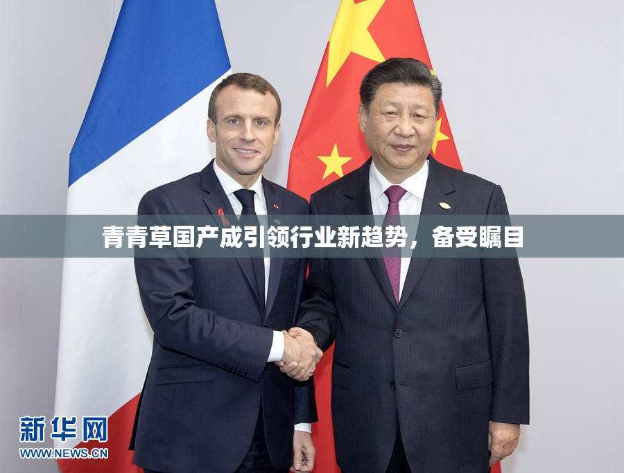 青青草国产成引领行业新趋势，备受瞩目