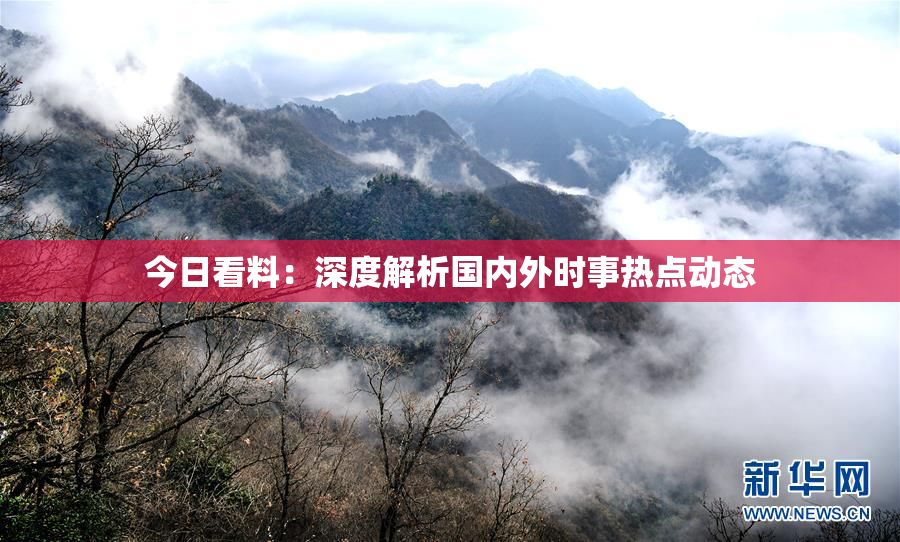 今日看料：深度解析国内外时事热点动态