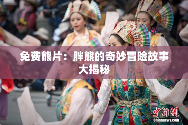 免费熊片：胖熊的奇妙冒险故事大揭秘