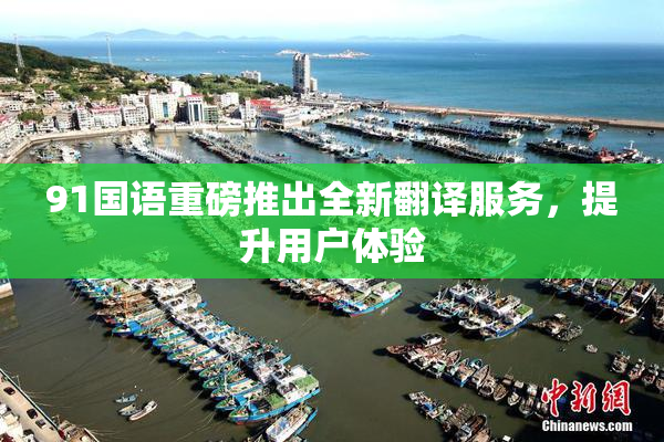 91国语重磅推出全新翻译服务，提升用户体验