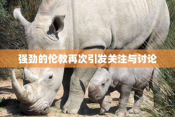 强劲的伦教再次引发关注与讨论