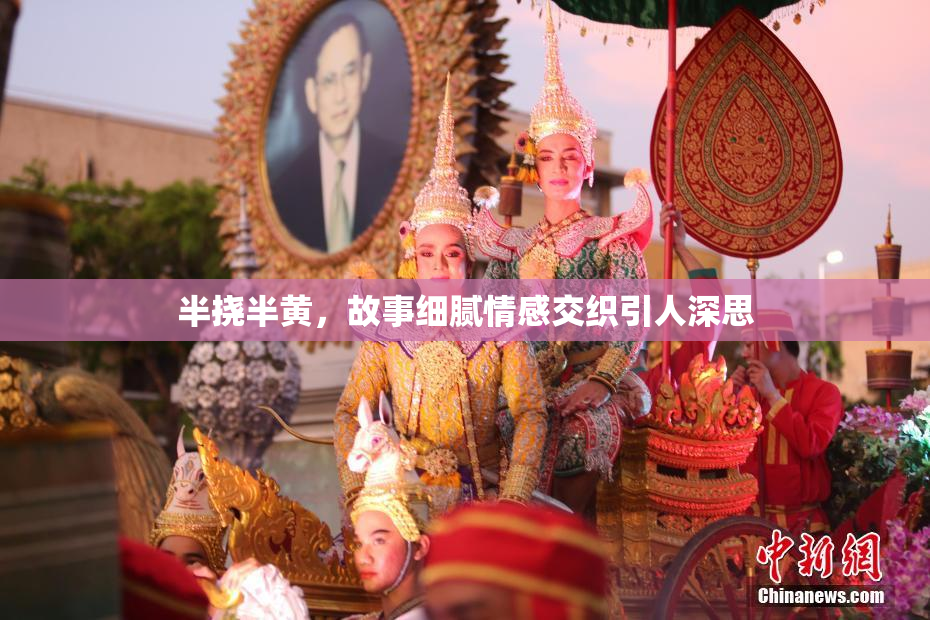 半挠半黄，故事细腻情感交织引人深思