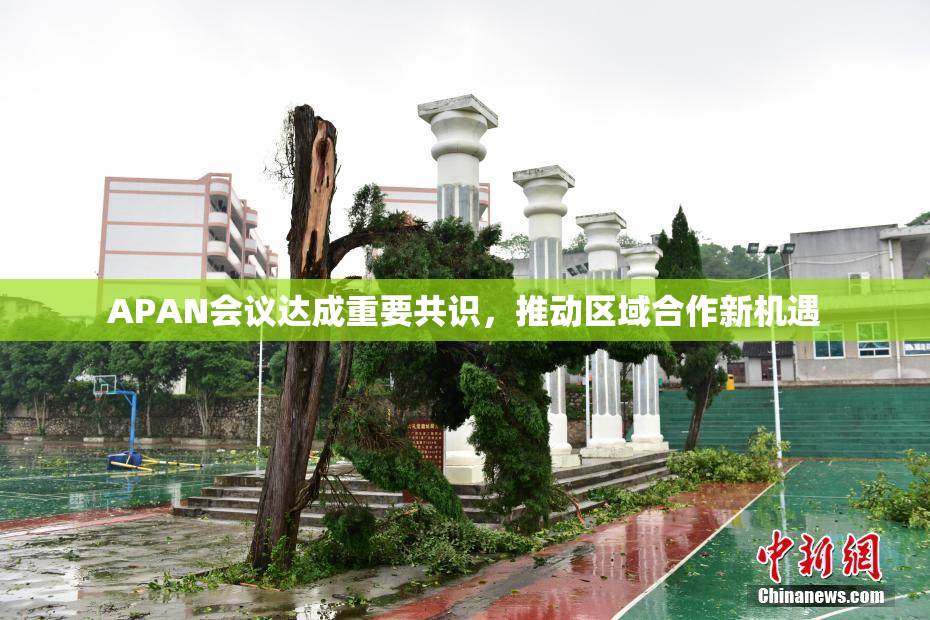 APAN会议达成重要共识，推动区域合作新机遇