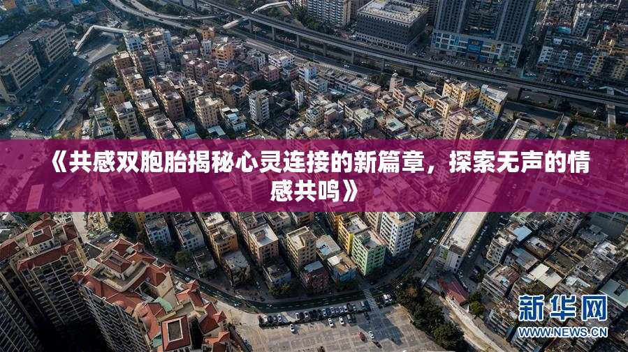《共感双胞胎揭秘心灵连接的新篇章，探索无声的情感共鸣》