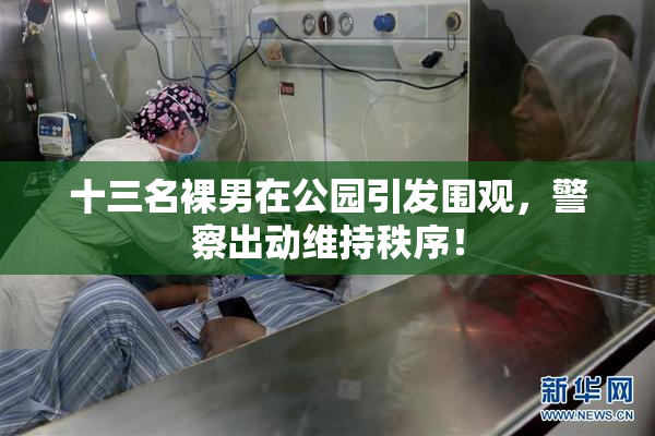 十三名裸男在公园引发围观，警察出动维持秩序！