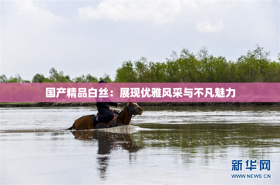 国产精品白丝：展现优雅风采与不凡魅力