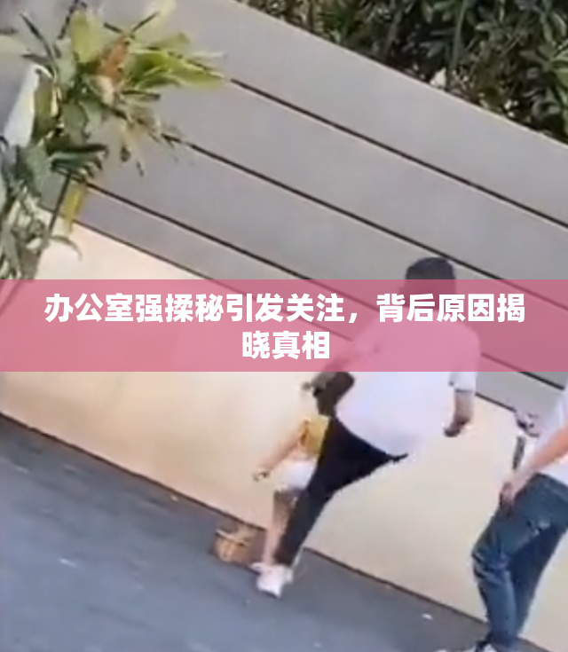 办公室强揉秘引发关注，背后原因揭晓真相