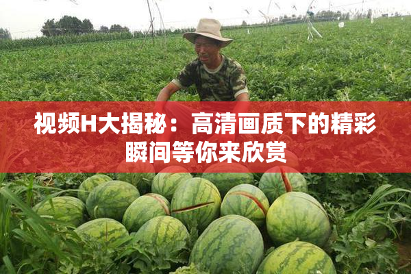 视频H大揭秘：高清画质下的精彩瞬间等你来欣赏