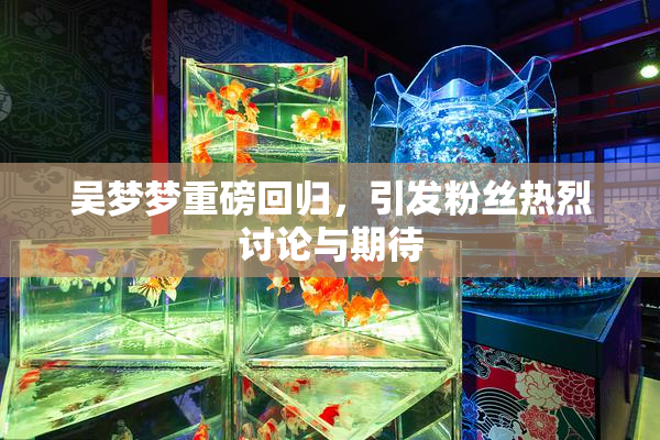 吴梦梦重磅回归，引发粉丝热烈讨论与期待