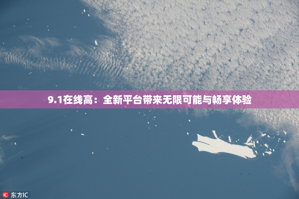 9.1在线高：全新平台带来无限可能与畅享体验